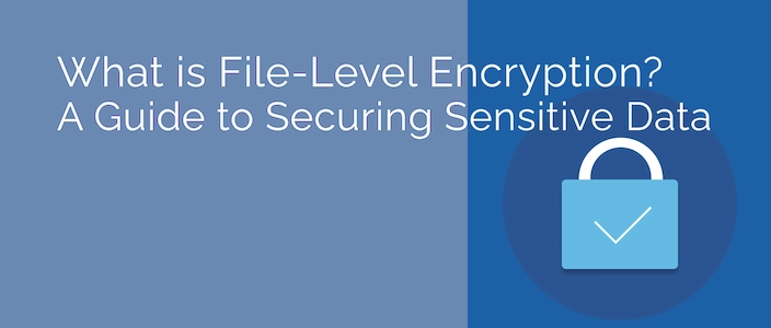 File-level security
